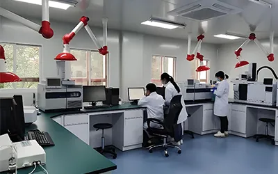 Biúró Slándála Poiblí / Pleanáil Saotharlainne an Ionaid Saineolais Bhreithiúnaigh